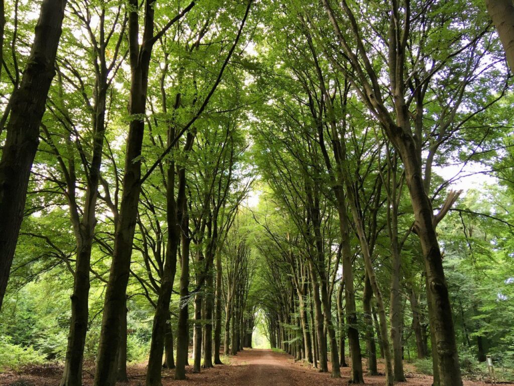 Vacature
