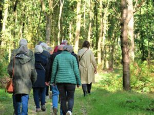 wandelen in het bos