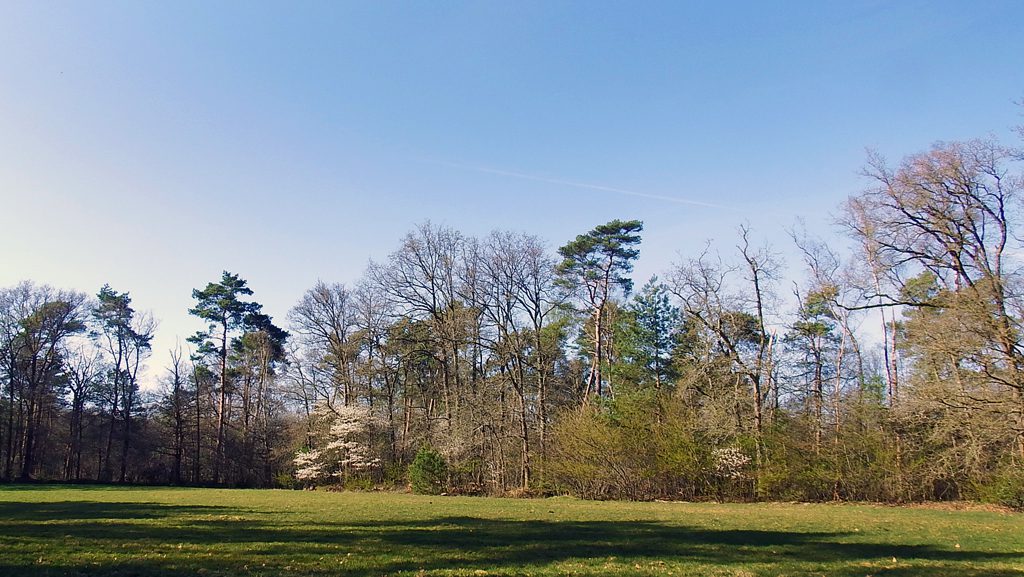 Kruidenweide Natuurbegraafplaats Prattenburg