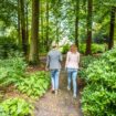 Wandelen op Prattenburg